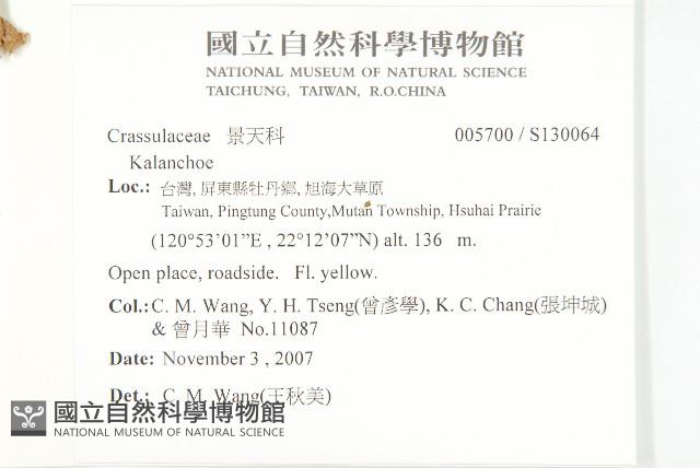 登錄號:S130064藏品圖，第2張