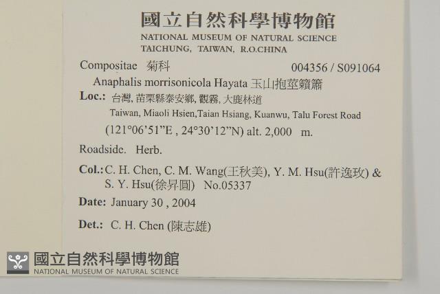 玉山抱莖籟簫藏品圖，第2張