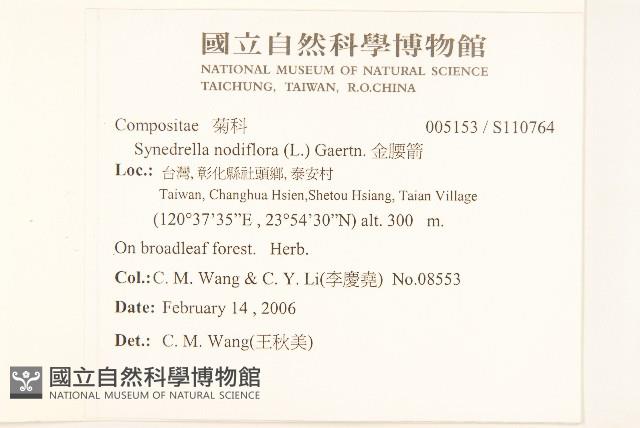 金腰箭藏品圖，第2張