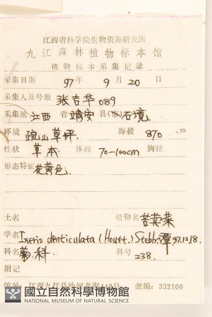 苦實菜藏品圖，第2張