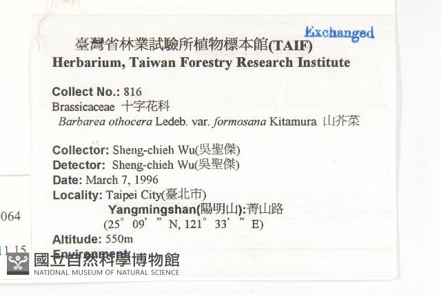 地錦藏品圖，第2張