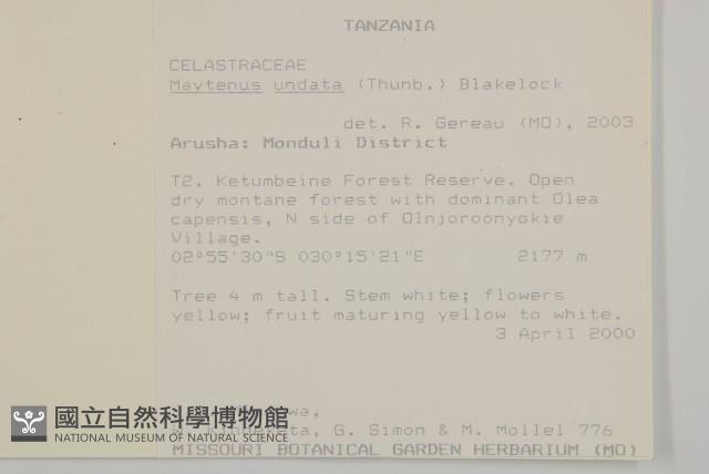 登錄號:S093464藏品圖，第2張