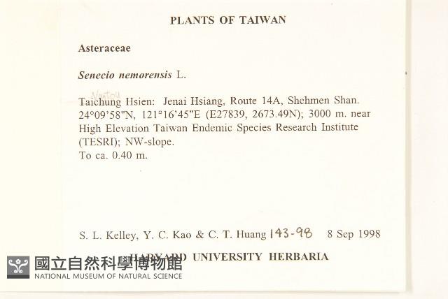 黃菀藏品圖，第2張