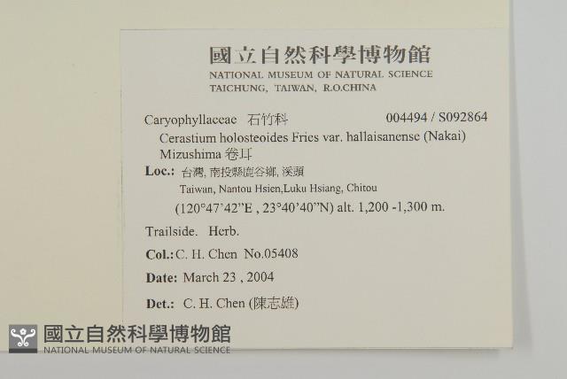 卷耳藏品圖，第2張