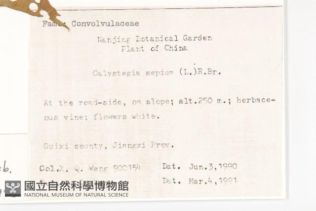 登錄號:S020864藏品圖，第2張