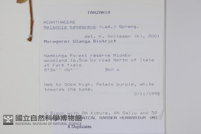 瘤子草藏品圖，第2張