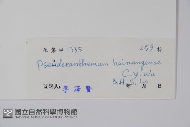 海康釣粉草藏品圖，第2張