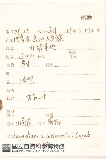 山萵苣藏品圖，第2張