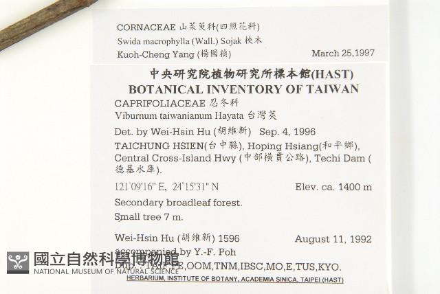 梜木藏品圖，第2張