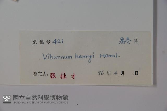 巴東莢迷藏品圖，第2張