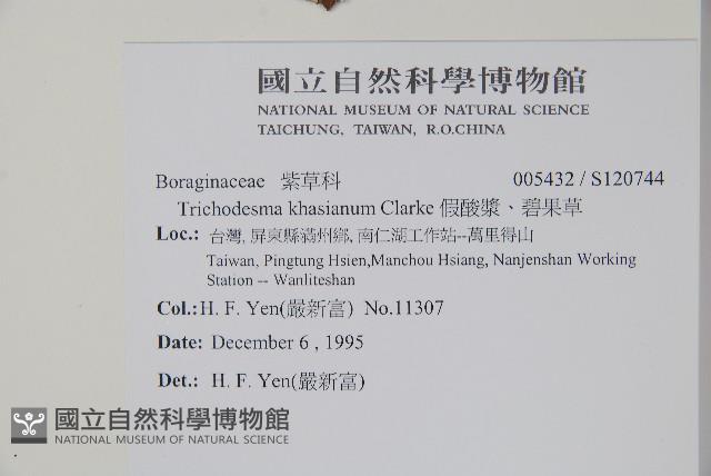 Accession Number:S120744 Collection Image, Figure 2, Total 2 Figures