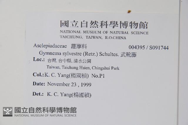 武靴藤藏品圖，第2張