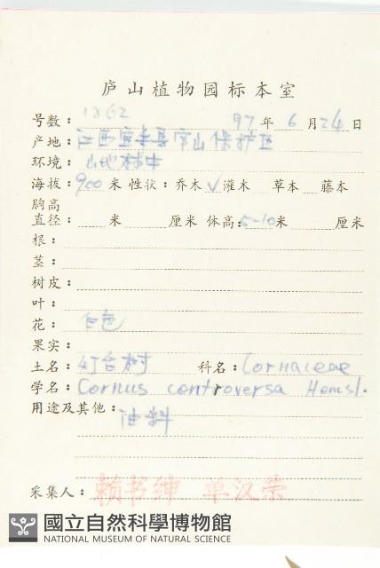 燈臺樹藏品圖，第2張