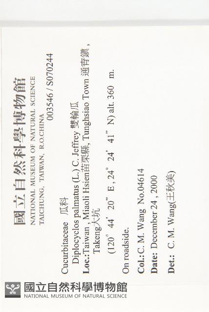 雙輪瓜藏品圖，第2張