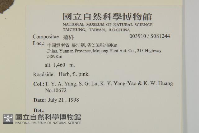 登錄號:S081244藏品圖，第2張