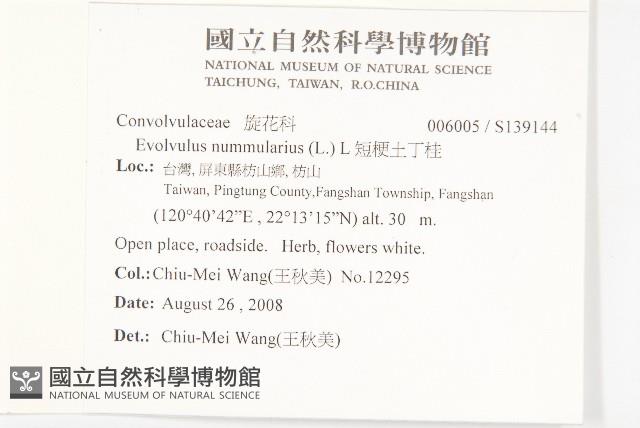 短梗土丁桂藏品圖，第2張