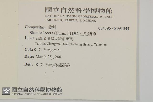 生毛將軍藏品圖，第2張