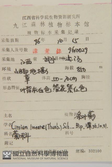 華薊藏品圖，第2張