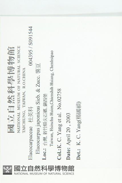 薯豆藏品圖，第2張