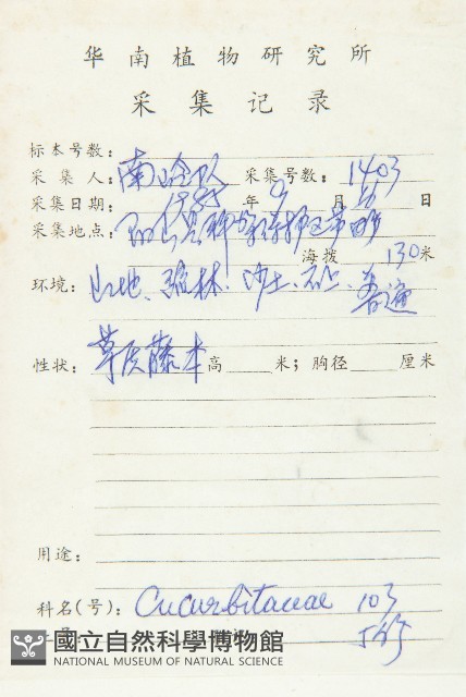 馬交兒藏品圖，第2張