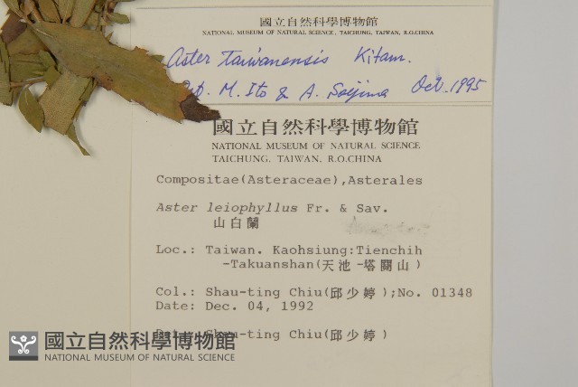 臺灣馬蘭藏品圖，第2張