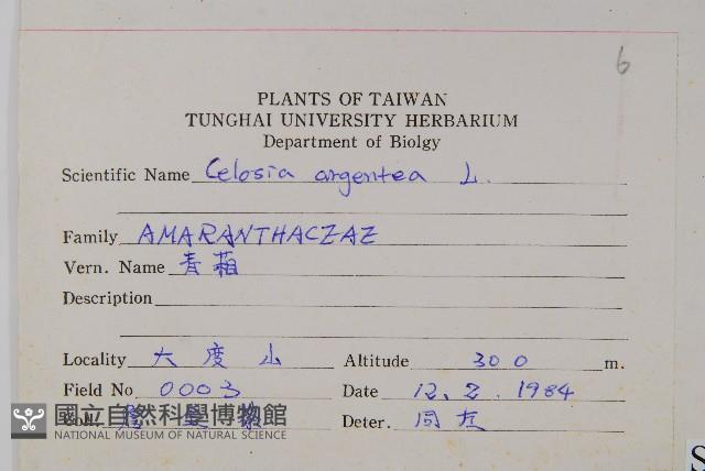 青葙藏品圖，第2張