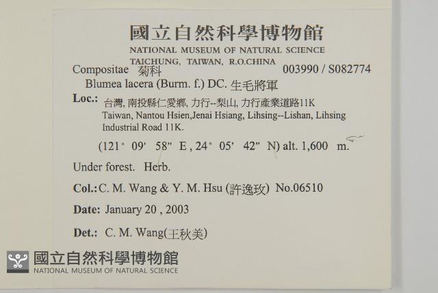 生毛將軍藏品圖，第2張