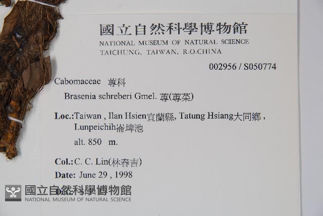 Water shield Collection Image, Figure 2, Total 2 Figures