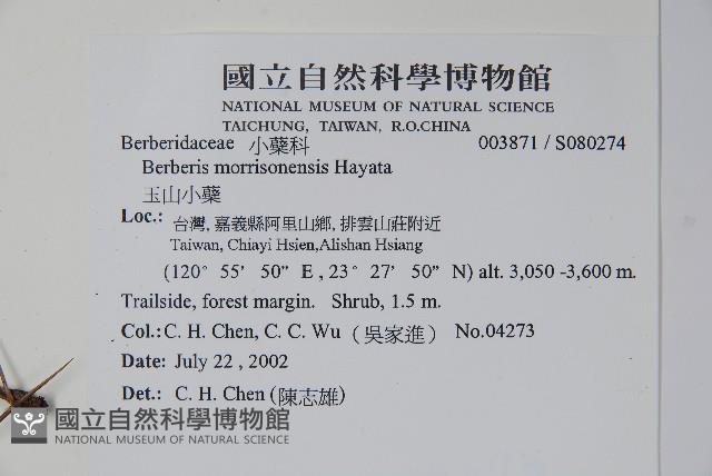 玉山小蘗藏品圖，第2張