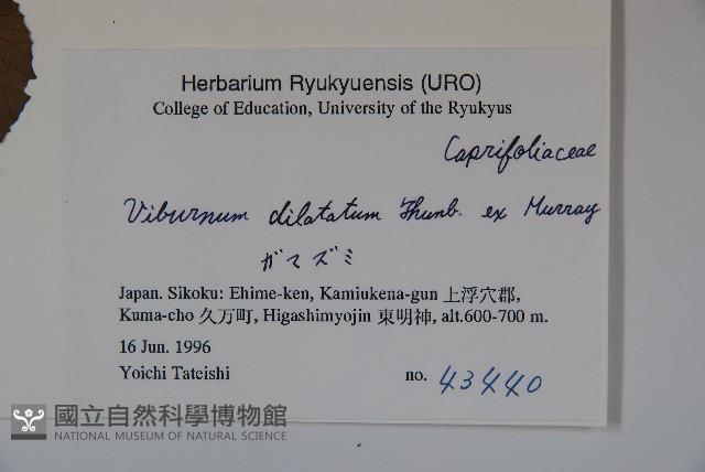 Accession Number:S051274 Collection Image, Figure 2, Total 2 Figures