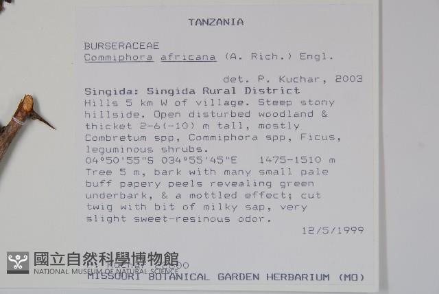登錄號:S094274藏品圖，第2張