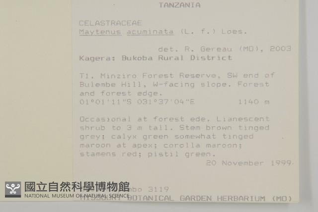 登錄號:S093274藏品圖，第2張