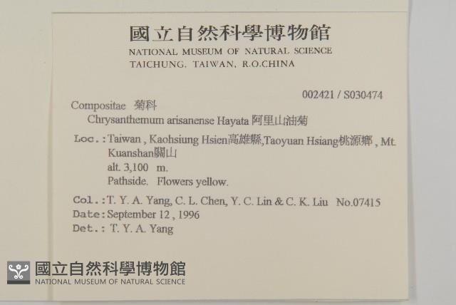 阿里山油菊藏品圖，第2張