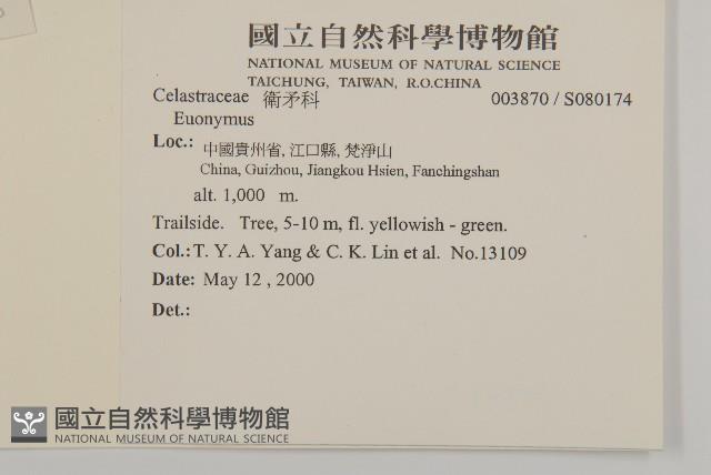 登錄號:S080174藏品圖，第2張