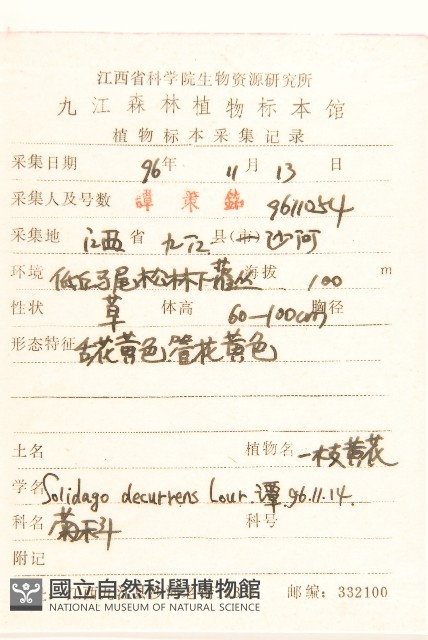 一枝黃花藏品圖，第2張