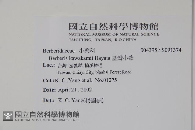 臺灣小蘗藏品圖，第2張