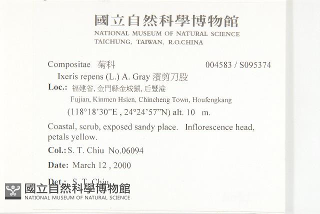 濱剪刀股藏品圖，第2張