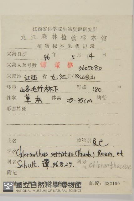 及己藏品圖，第2張