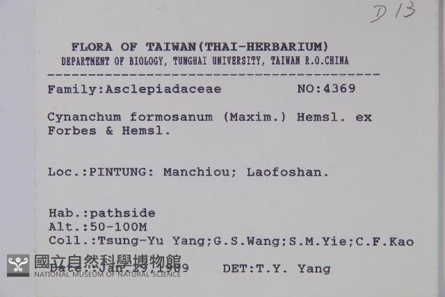臺灣牛皮消、臺灣白薇藏品圖，第2張