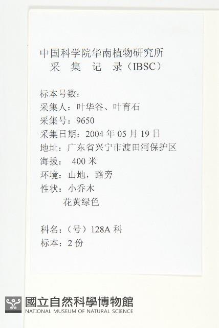 華杜英藏品圖，第2張