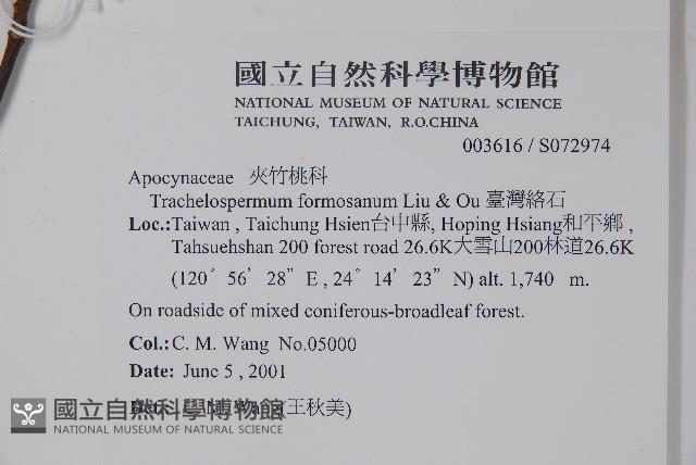 臺灣絡石藏品圖，第2張