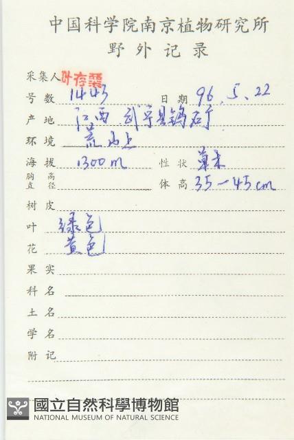 葶藶藏品圖，第2張