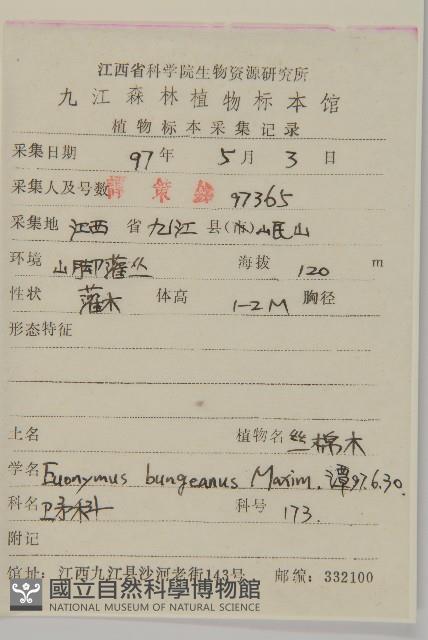 白杜藏品圖，第2張