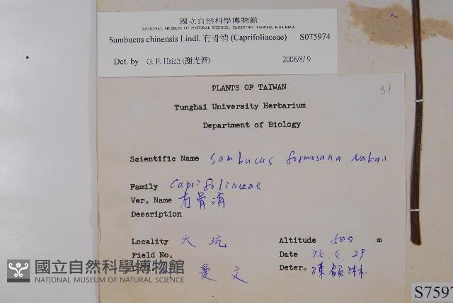 冇骨消藏品圖，第2張