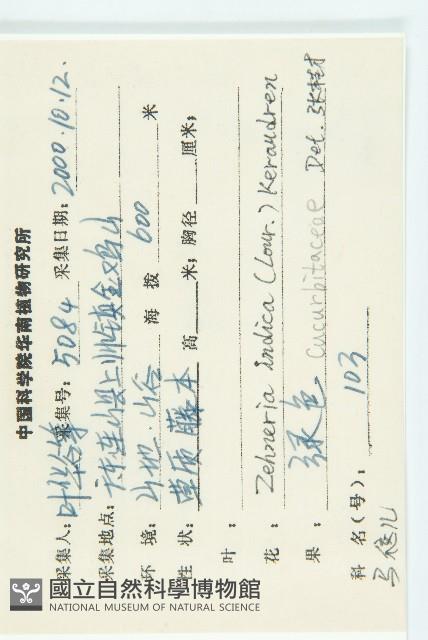 馬交兒藏品圖，第2張