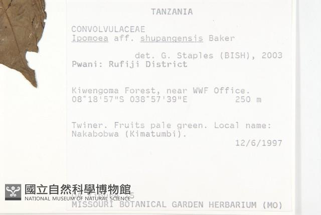登錄號:S093974藏品圖，第2張