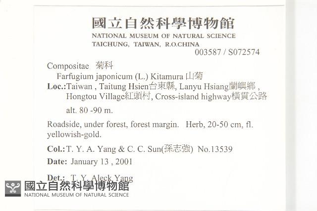 山菊藏品圖，第2張