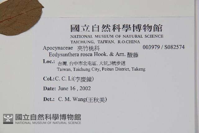 酸藤藏品圖，第2張