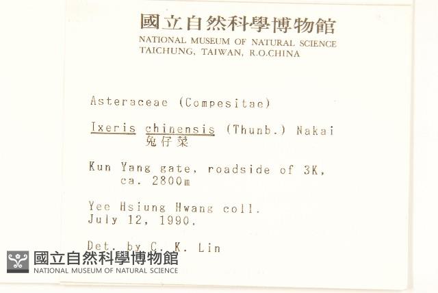 兔仔菜藏品圖，第2張