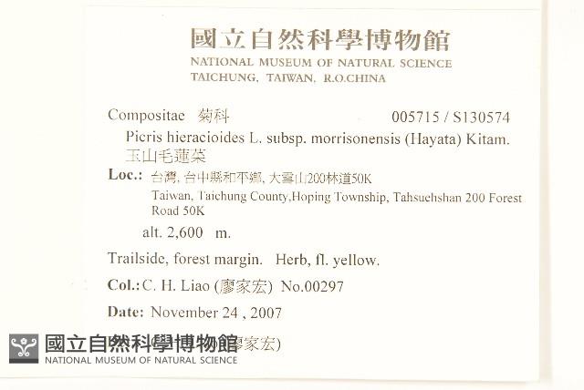 玉山毛蓮菜藏品圖，第2張